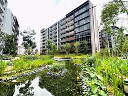 Pasir Ris 8 (D18), Apartment #454112881